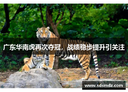 广东华南虎再次夺冠，战绩稳步提升引关注