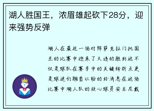 湖人胜国王，浓眉雄起砍下28分，迎来强势反弹